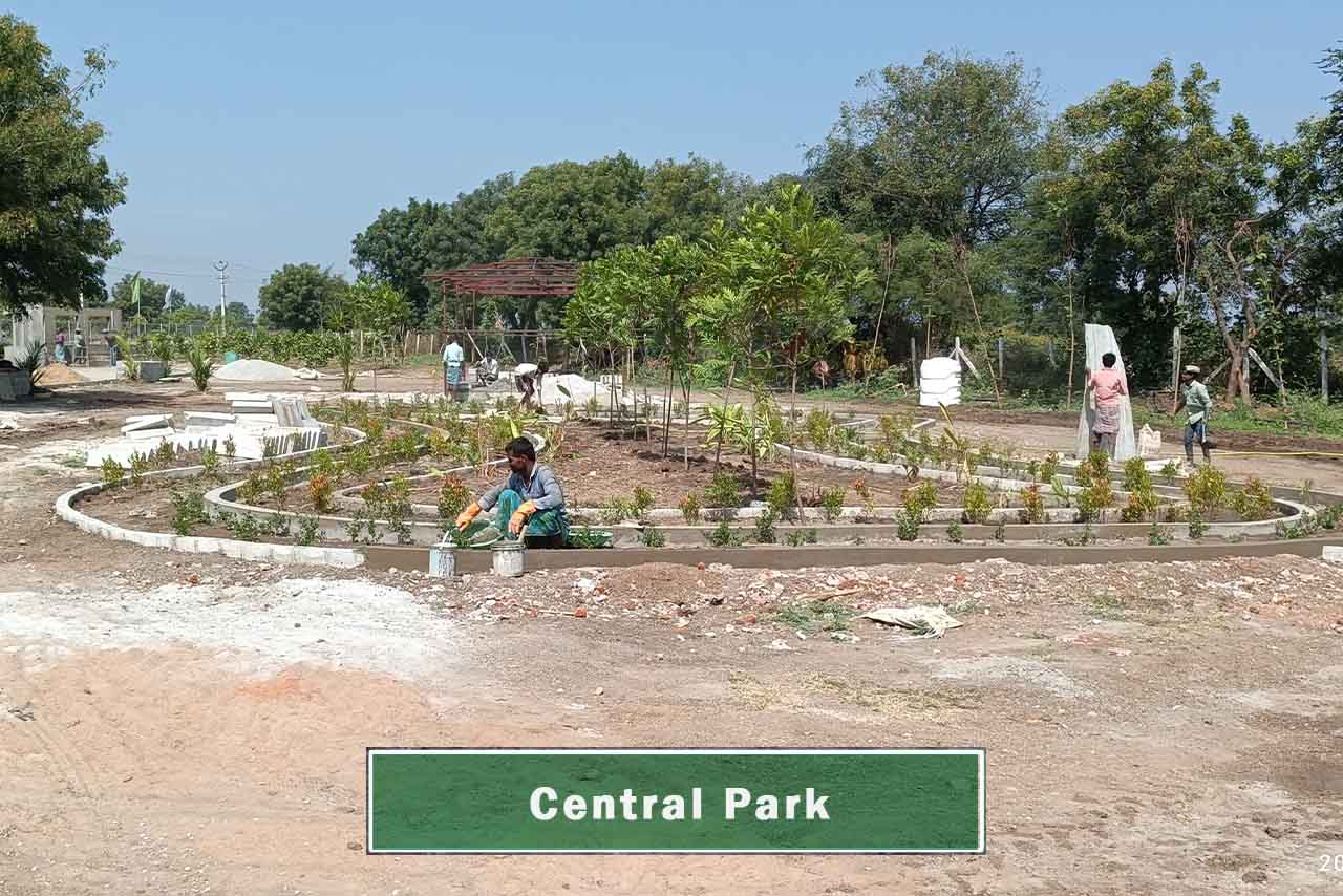 Live-Developments_Fortune-Pride_Central-Park_3_211122