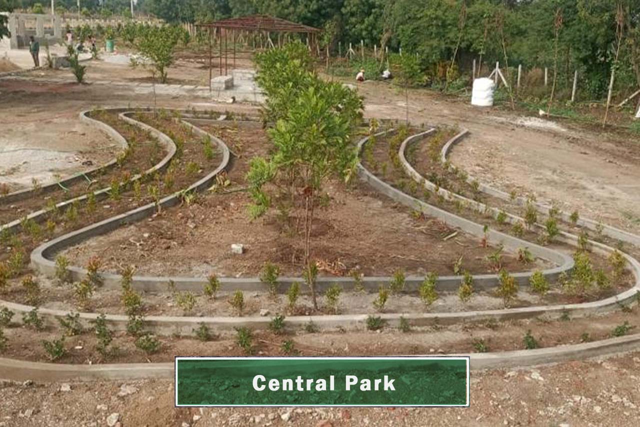 Live-Developments_Fortune-Pride_Central-Park_4_211122