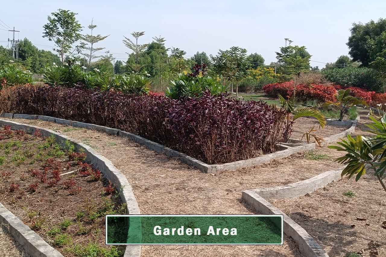 Live-Developments_Fortune-Pride_Garden-Area_4_211122