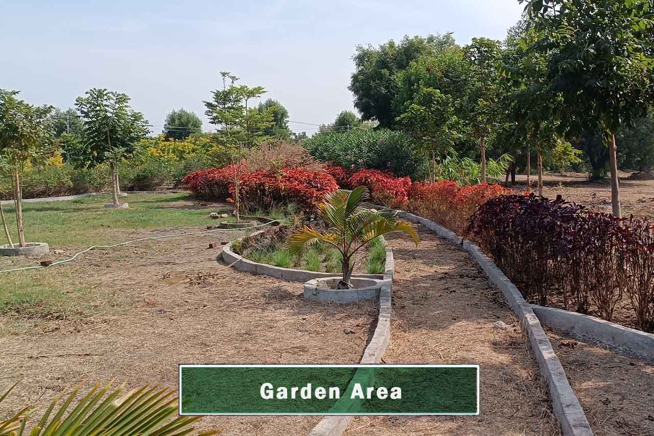 Live-Developments_Fortune-Pride_Garden-Area_5_211122